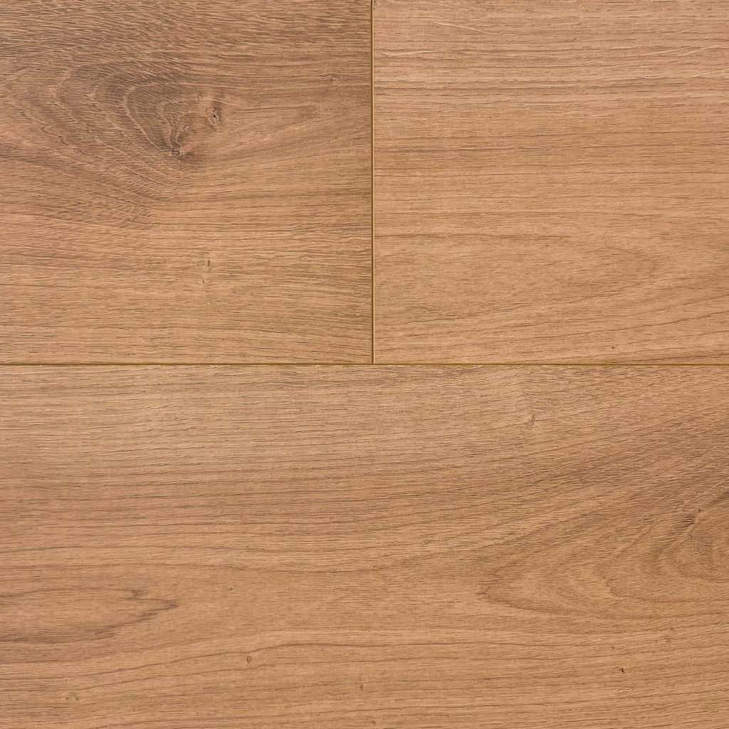 65129 Zaragoza Oak 戈薩橡木