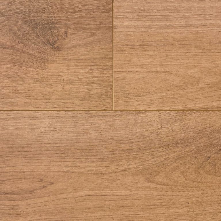 65129 Zaragoza Oak 戈薩橡木