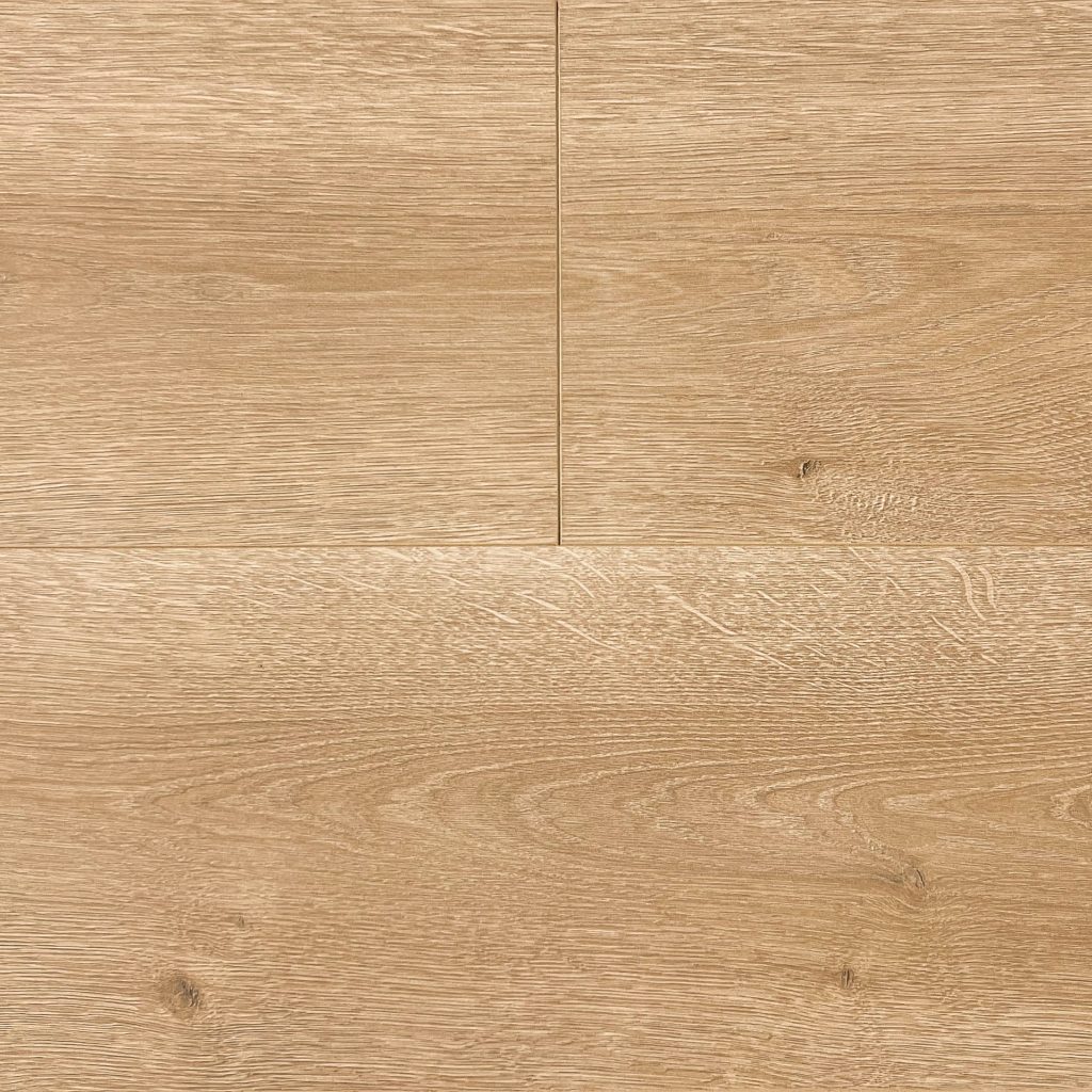 65819 Corsica Oak 托亞原木