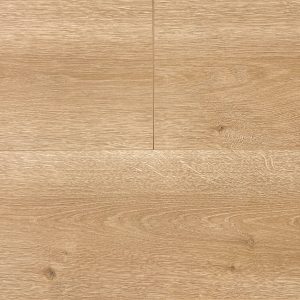 65819 Corsica Oak 托亞原木