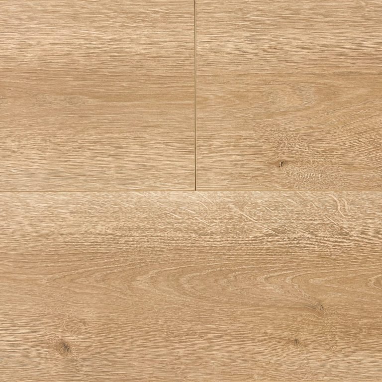 65819 Corsica Oak 托亞原木