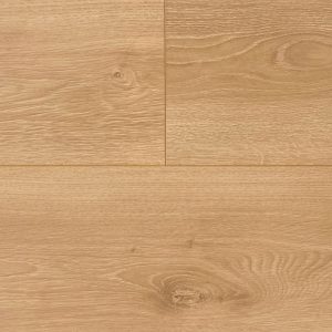 65820 Tasmania Oak 塔斯橡木