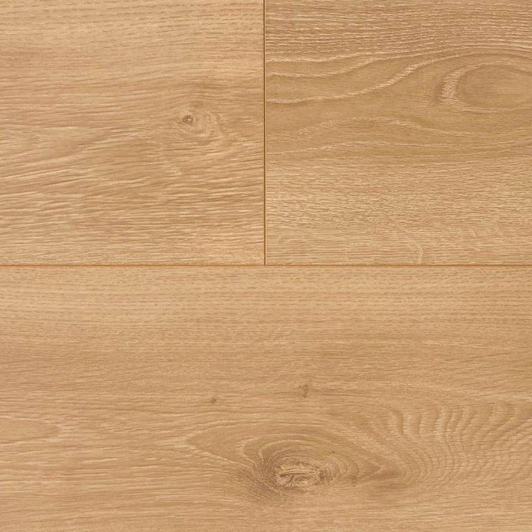 65820 Tasmania Oak 塔斯橡木